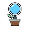 Organic SEO Company