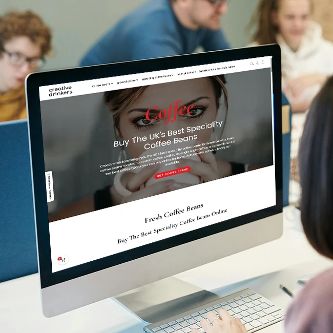 Ecommerce Website Designers