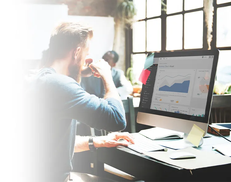 SEO Consultant