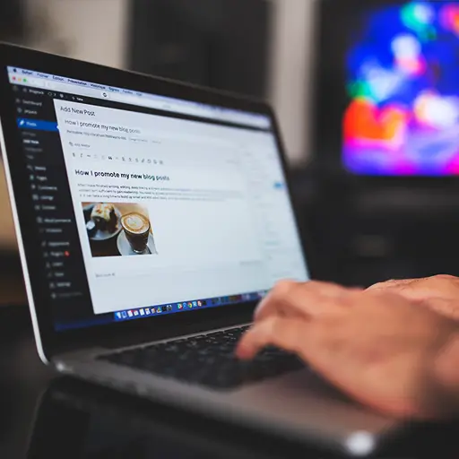 WordPress SEO Consultant