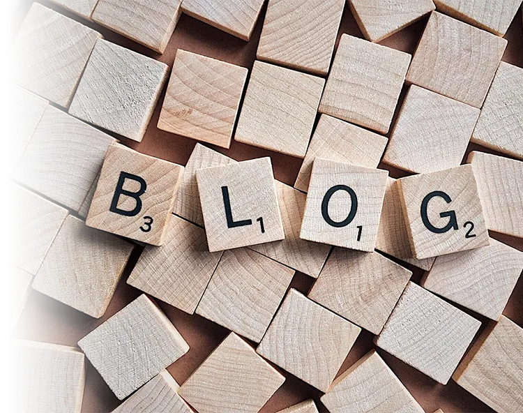 SEO Blog